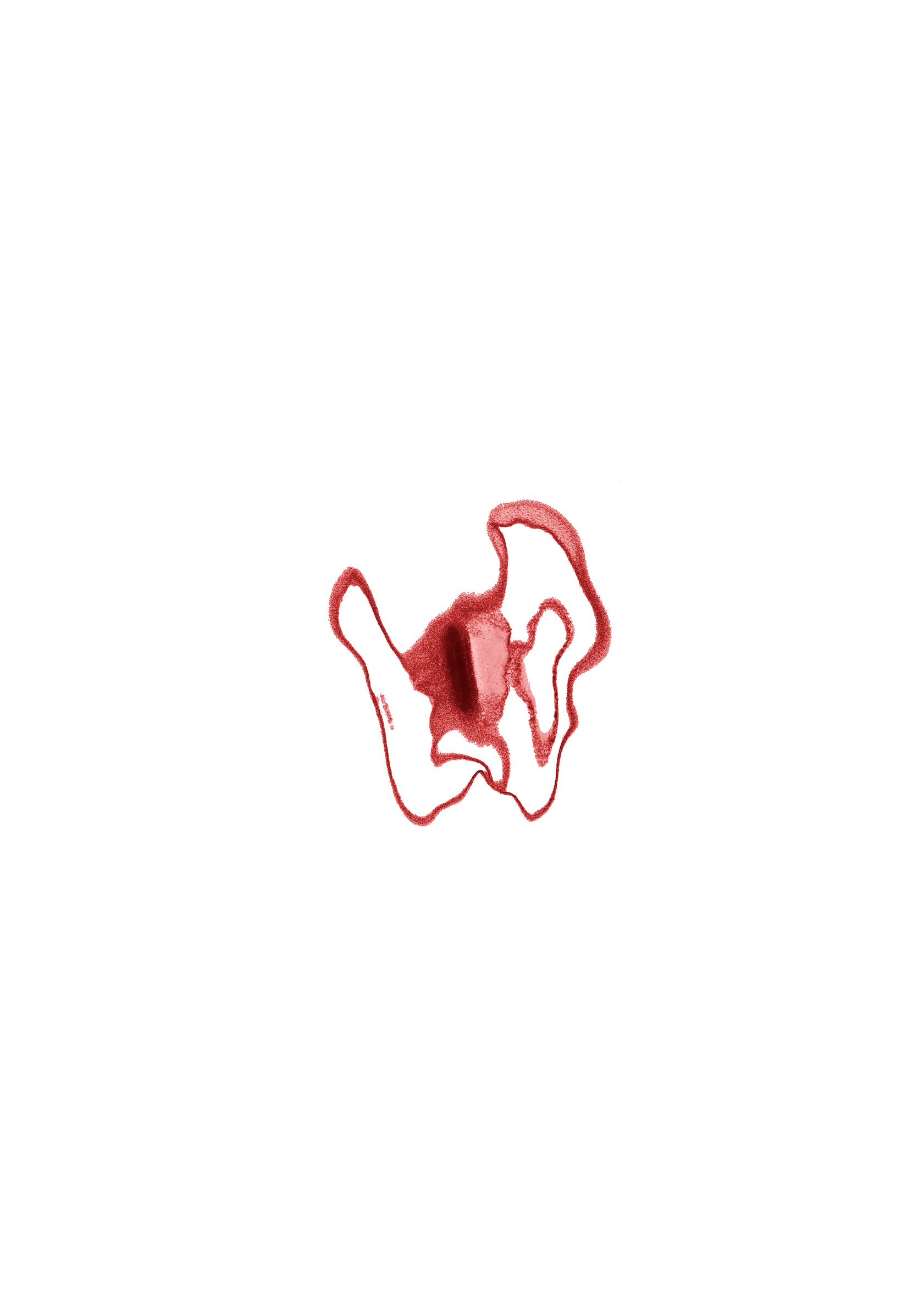 artifact space(s), interior of embryo, osteogenic layer, roof plate of mesencephalon, subarachnoid space, surface ectoderm, vascular plexus