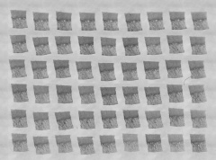 Embryo 8020 original glass slides 5