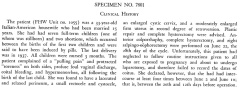 Clinical history