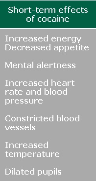 Short-term effects of cocaine: Increased energy, decreased appetite, mental alertness, increased heart rate and blood pressure, constricted blood vessels, increased temperature, and dilated pupils