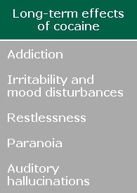 Long-term effects of cocaine: Addiction, irritability and mood disturbances, restlessness, paranoia, and auditory hallucinations