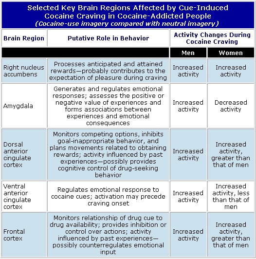 Table showing Selected Key Brain Regions Affected by Cue-Induced Cocaine Craving in Cocaine-Addicted People