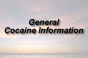 general cocaine information