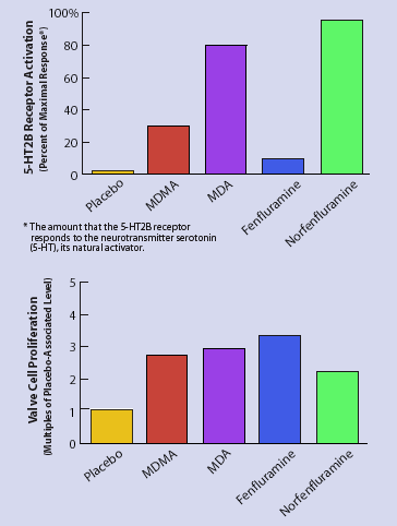 graph, MDMA Use Activates Heart Valve Receptors, Triggering Valve Cell Overgrowth