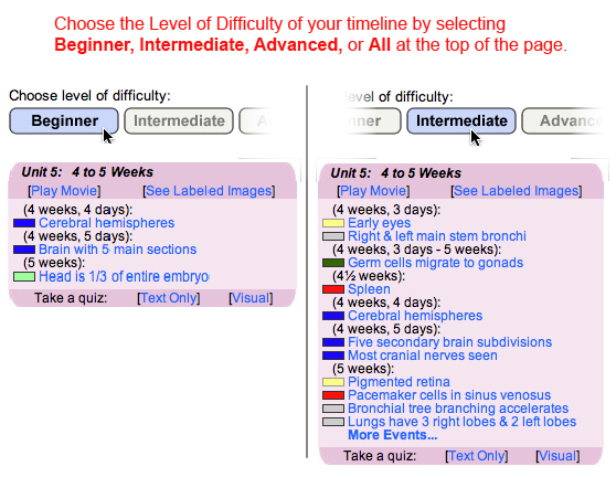 This image shows how to choose the Level of Difficulty of your timeline.