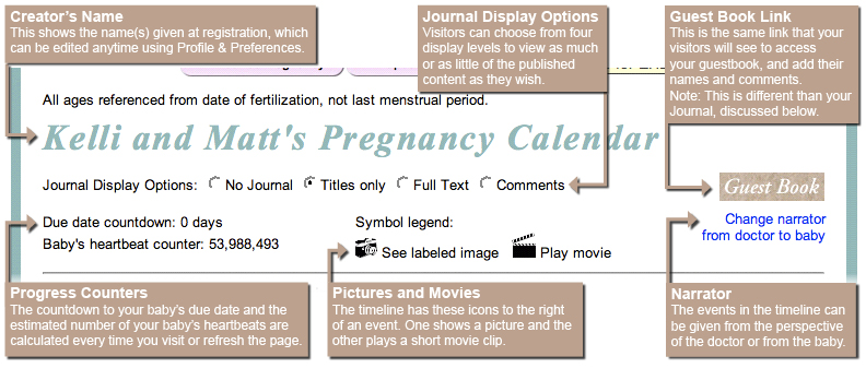 Image showing the features of the top section of the prenancy calendar.