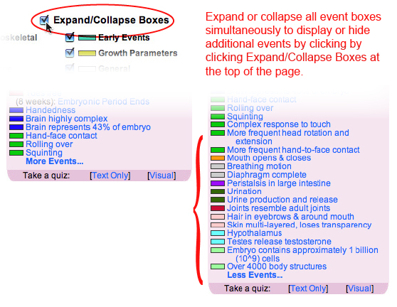 This image shows how to Expand or Collapse all event boxes simultaneously.