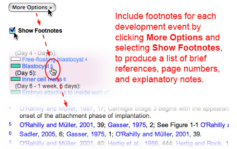 Image that shows how to include footnotes for each development event.