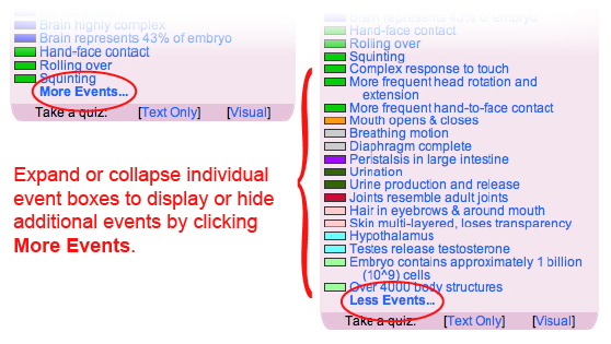 This image shows how to Expand or collapse individual event boxes on the timeline.