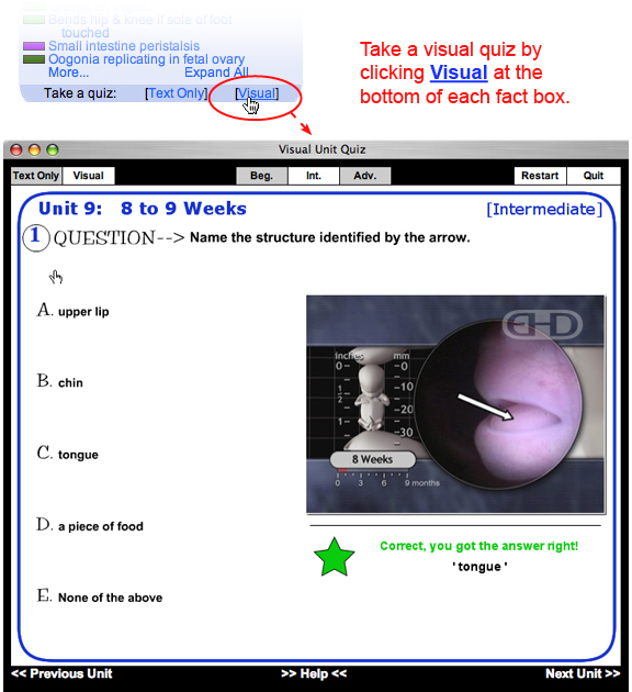 Take a visual quiz by clicking Visual at the bottom of each fact box.