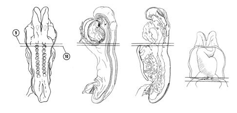 Fig 4-7 sideview