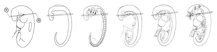 Fig 5-11 sideview