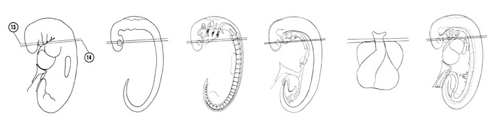 Fig 5-12 sideview