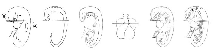 Fig 5-15 sideview