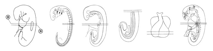 Fig 5-17 sideview