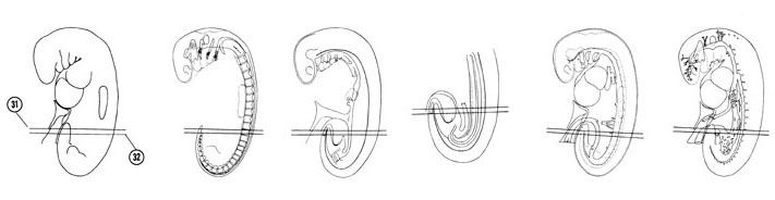 Fig 5-21 sideview