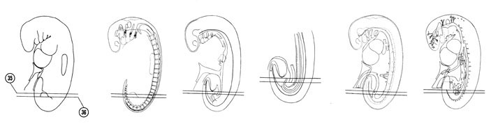 Fig 5-23 sideview