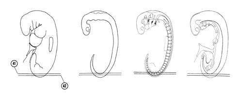 Fig 5-26 sideview