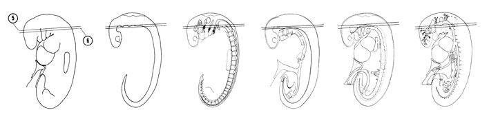 Fig 5-8 sideview