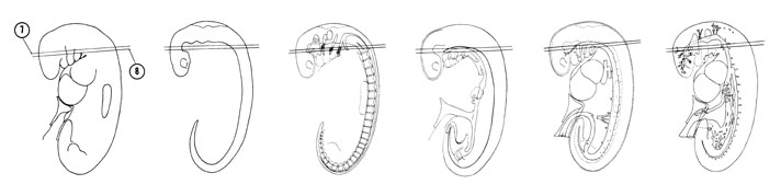 Fig 5-9 sideview