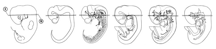 Fig 6-10 sideview