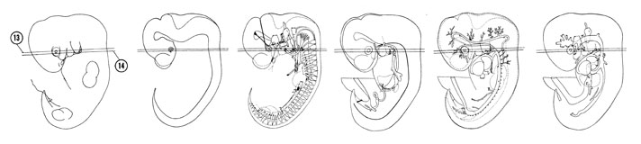 Fig 6-12 sideview