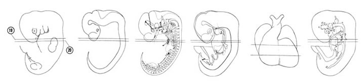 Fig 6-15 sideview