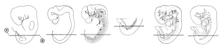 Fig 6-21 sideview