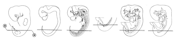 Fig 6-22 sideview