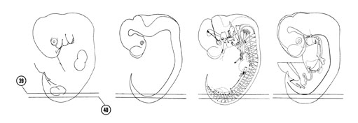 Fig 6-25 sideview