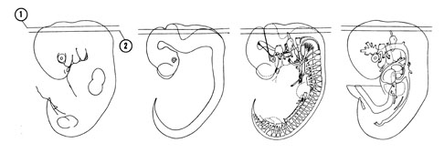 Fig 6-6 sideview