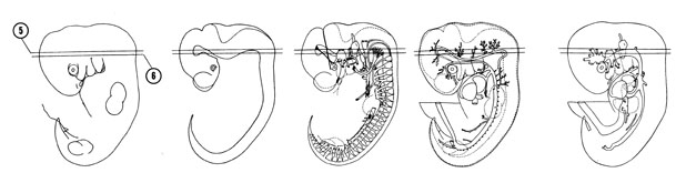 Fig 6-8 sideview