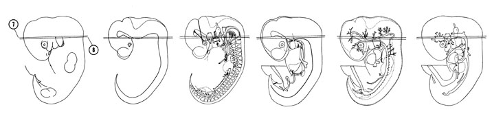 Fig 6-9 sideview