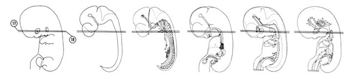 Fig 7-14 sideview