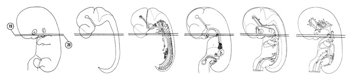 Fig 7-15 sideview