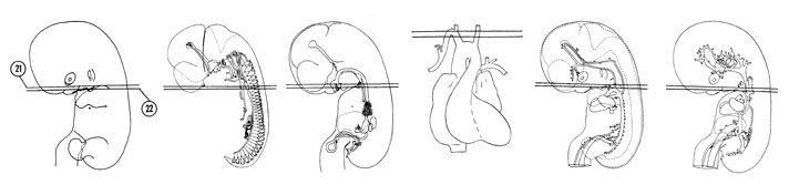 Fig 7-16 sideview