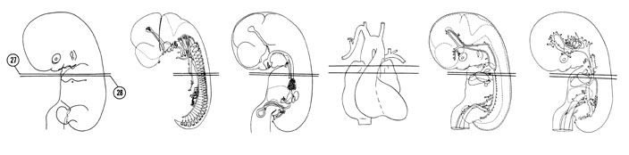 Fig 7-19 sideview