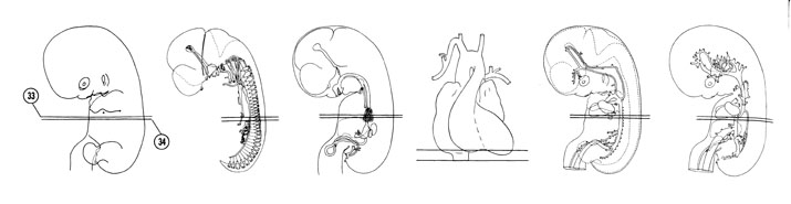 Fig 7-22 sideview