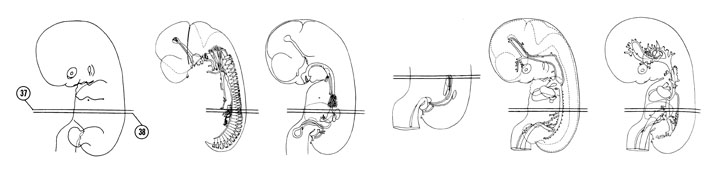 Fig 7-24 sideview