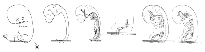 Fig 7-34 sideview