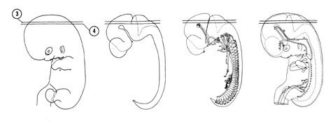 Fig 7-7 sideview