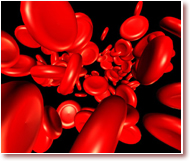 red blood cells