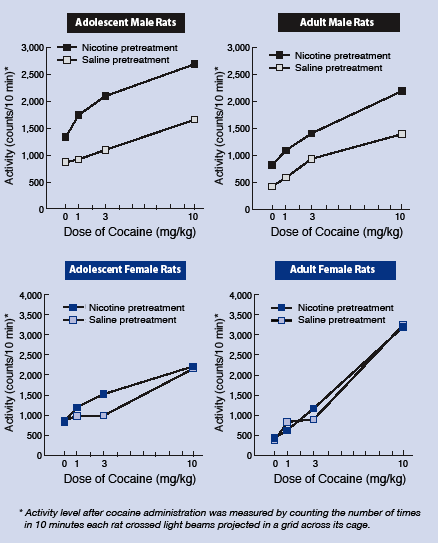 graph showing that Rats First Exposed to Nicotine in Adolescence Show Greater Sensitization to Cocaine Than Rats First Exposed as Adults