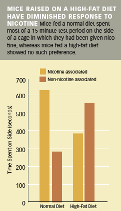 graph showing mice raised on a high-fat diet have diminished response to nicotine.